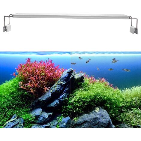 Acheter Lampe d'aquarium étanche, prise USB, lampes pour Aquarium, nouvelle  lumière Led pour Aquarium