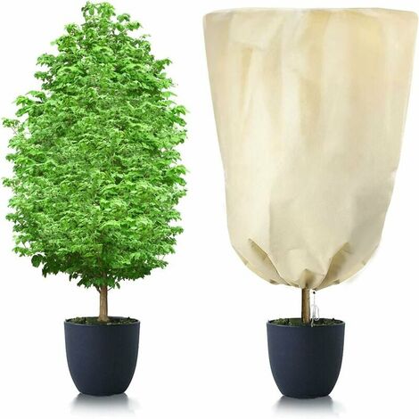 Protection Hivernale Pour Plantes Et Arbustes 22 Po X 44 Po