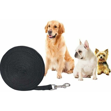 Longe pour Chien 10m Noir, Laisse de Dressage pour Chien, Laisse Longue pour Chien de Petites à Grandes Taille