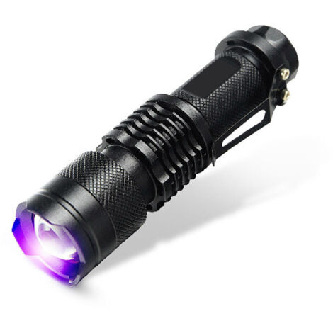 Lot De 2 Lampes Torches UV Portables 365nm - Lumière Noire Pour Détection, Loisirs - Piles AAA Non Incluses