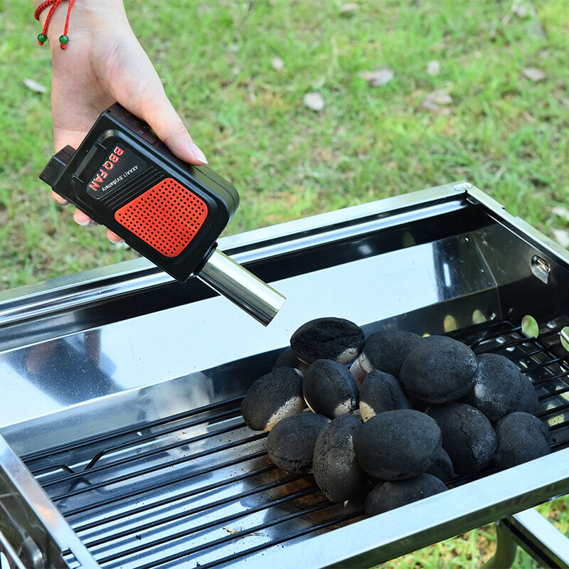 Souffleur Électrique Portable Pour Barbecue - Alimentation Piles AA, Acier Inoxydable, Idéal Camping
