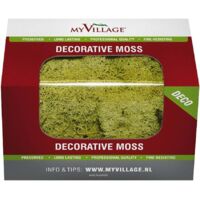 My Village MY VILLAGE - Materiale decorativo lichene 50gr Cod. MYD30