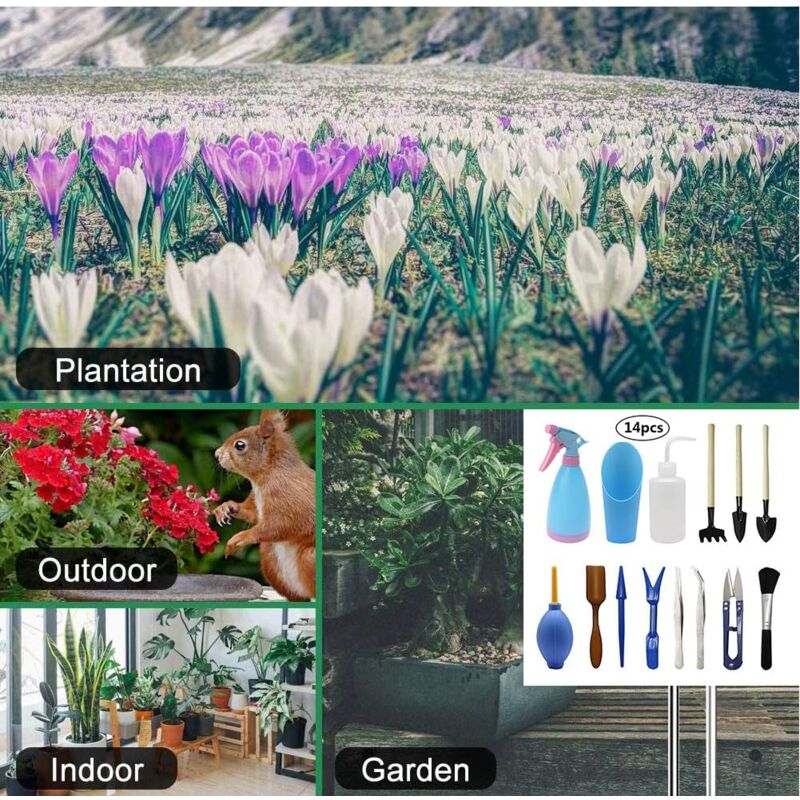14 pièces jardinière Kit plantes succulentes outils avec tapis de