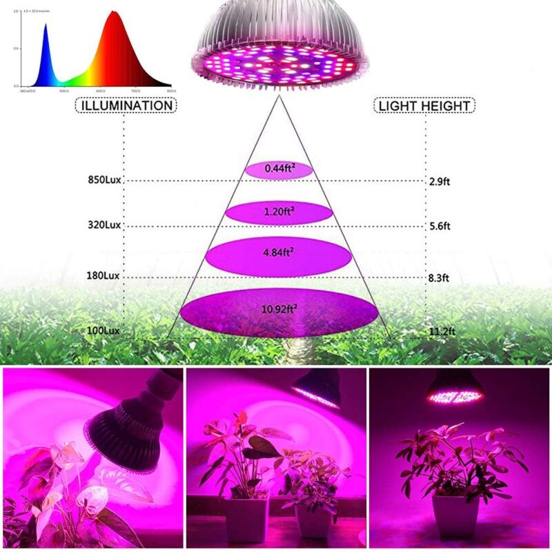 Spot horticole LED 50W à suspendre pour mur végétal