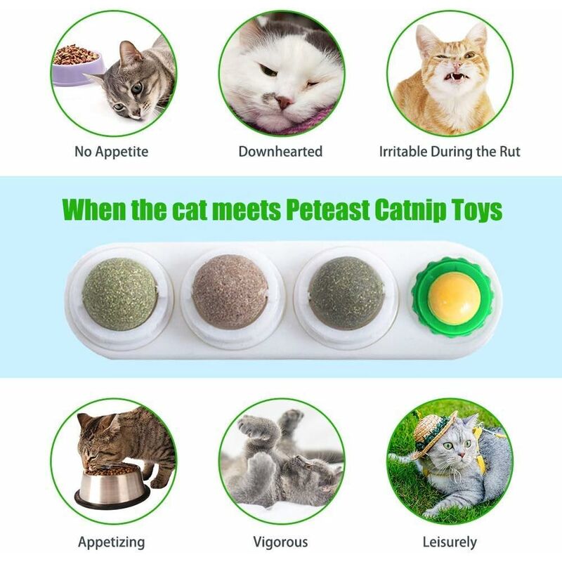 rotatif cataire boule de mur chat traiter jouets avec cataire