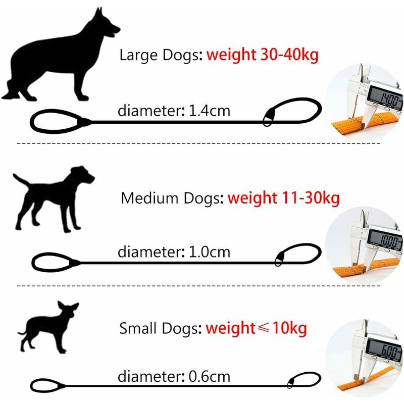 Laisse lasso pour chien de 3m et 5m • La Boutique de Dog's mind