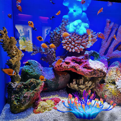 Accessoires d'aquarium de décoration de réservoir de poissons