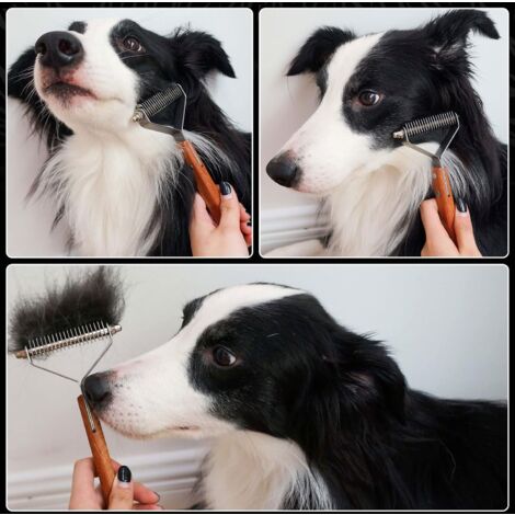 CCYKXA king Brosse Chien Brosse Chat, Brosse Anti Poils Animaux Brosse de Toilettage pour Chiens de Compagnie Brosse Demelante Chats Peigne pour Poil Long et Court