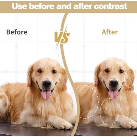 CCYKXA Steamy Brosse pour chat, Brosse Chien Chat à Vapeur, 3 En 1 Peigne De Massage En Spray Pour Chats, Brosse Vapeur Pour Chat Pour Massage, brosse de toilettage multifonction pour chat (Café)
