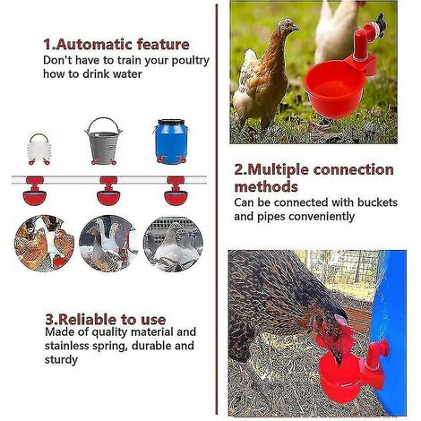 Abreuvoirs automatiques de poulet, bols, abreuvoirs de volaille de ferme, 4 pièces