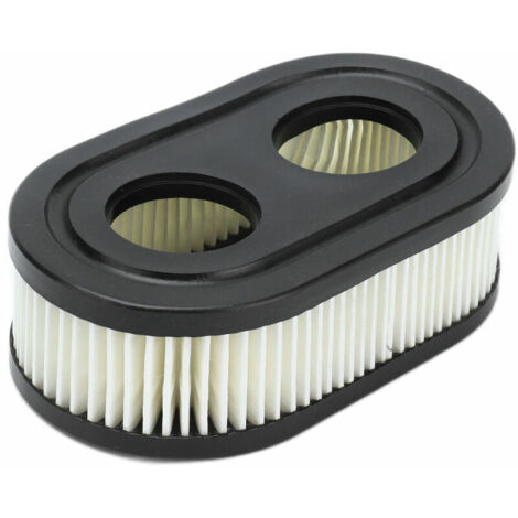 Lot De 2 Filtres à Air Briggs & Stratton 798452 593260 – Compatibles 550e 625ex 675exi 725exi – Pour Tondeuses à Gazon
