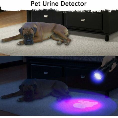 TATTU Lampe UV 395nm Rechargeable - Détection Urine Animaux, Scorpions, Faux Billets