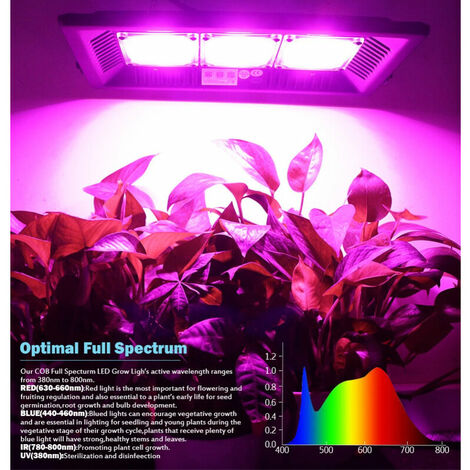 Lampe Horticole LED Croissance Floraison - Cultivez des Plantes Saines à  L'intérieur - Panneau LED Horticole - Lampe UV Plante Interieur pour Semis  - Lampe de Culture LED Grow Light Indoor 50W-169pcs