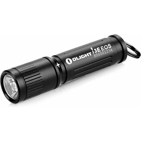 Mini Lampe torche porte-clés 90 Lumens noir,Petite Lampe de Poche Avec AAA  Pile pour