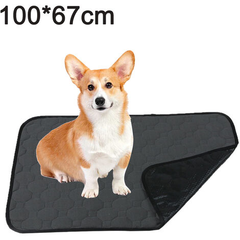 Grand Tapis Pour Chien Couche Culotte Pipi Coussin Absorbant