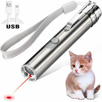 Stylo laser rechargeable USB pour chats - Petits Compagnons