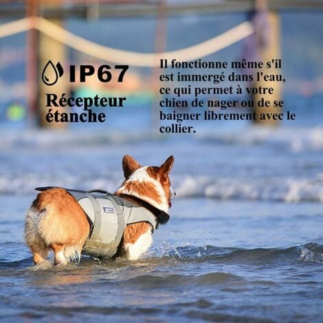 Collier de Dressage pour Chiens Rechargeable et IP67 Étanche avec Distance de 800m avec 99 Niveaux de Mode Vibration, Choc Electrique, Sonore.
