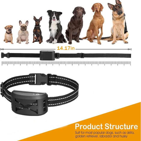Collier Anti-fugue GPS Pour Chien - Clôture Invisible Réglable 20-2000m, étanche IPX7 - 8