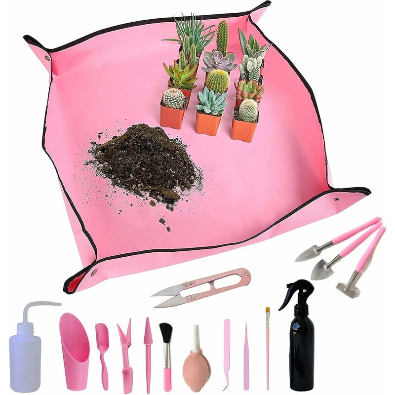 Lot de 15 outils pour plantes succulentes – Tapis de rempotage et sac de  rangement, mini outils de transplantation de jardin pour intérieur et  extérieur : : Jardin