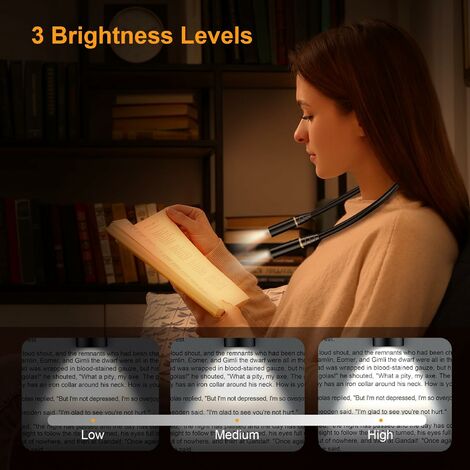 Gritin Lampe Lecture Rechargeable 19 LED Flexible 3 Couleurs