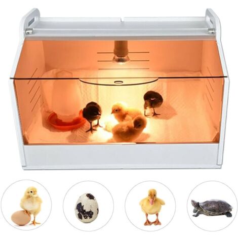 Caisse chauffante pour poussins 220 V entièrement automatique avec thermomètre et lampe chauffante pour poussin pour volaille, reptiles et petits animaux,de DEBUNS