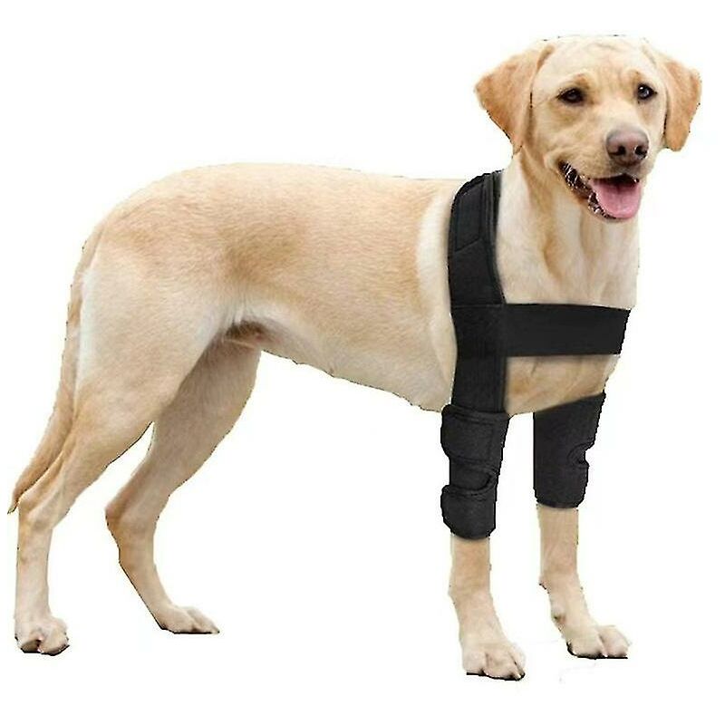 Protection des coudes pour chien, pantalon/pantalon rembourré