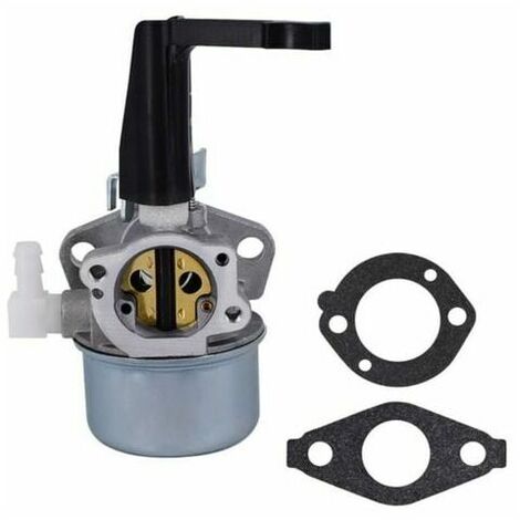 Carburateur pour moteur Briggs and Stratton 311777