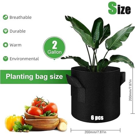 Ahlsen 6 Pcs Sac Plantation, Non Tissé Pot en Tissu avec Poignées pour Plantation Pommes de Terre Tomates Fraises Végétale Fleurs et Autres Plantes (3 Gallons)