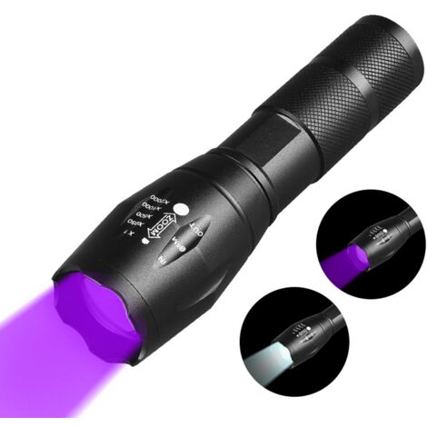 Lampe UV Portable Lot De 2 Lampes Torches UV 365nm EverBrite - Lumière