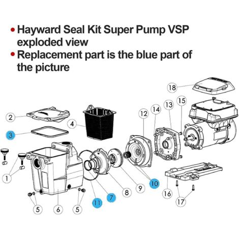 Sacco Per Patate KitchenCraft In Tela - Conserva Fresche 20 Patate Per 2 Settimane, 26x38 Cm - Foto 9