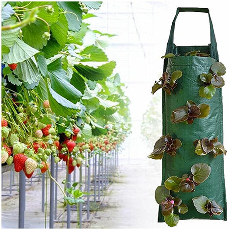 Strawberry Plant Bag, Hanging Strawberry Planter, Breathable Hanging Plant Bag with Multiple Holes, for Patio, Small Garden, Balcony 8 Holes,