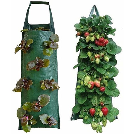 Strawberry Plant Bag, Hanging Strawberry Planter, Breathable Hanging Plant Bag with Multiple Holes, for Patio, Small Garden, Balcony 8 Holes,