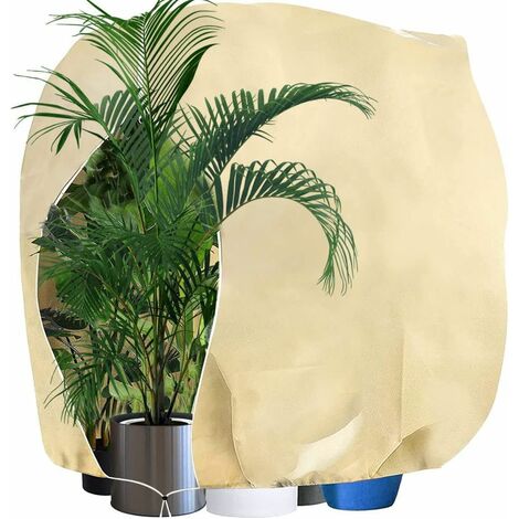 Plant cold cover - non-woven winter plant cover to keep warm and cold-proof 80g 240cmxwidth 200cm (1/5)