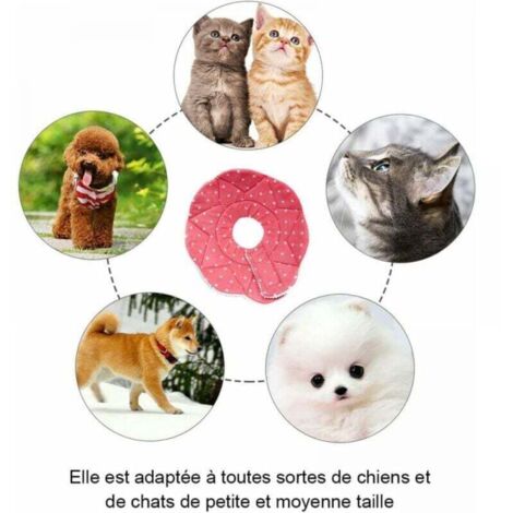 1PC Comfortable Post-Op Collar for Cats and Dogs, Sturdy Waterproof, Scratch and Bite Resistant, Easy to Clean, with Adjustable Closure(M) MUMU