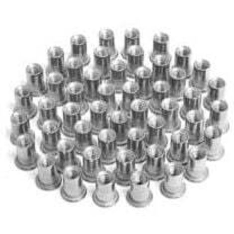 100pcs M4 Rivet Nuts, Threaded Insert Rivet Nuts, Stainless Steel Rivet Nuts, for Repairing Furniture Decorations and Crafts MUMU (1/4)
