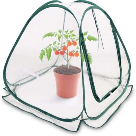 Mini Pop-Up Greenhouse 70 x 70 cm – Small Greenhouse for Vegetables, Flowers, and Mushrooms – Transparent PVC Wintering Tent for Plants – No Assembly Required MUMU (1/4)