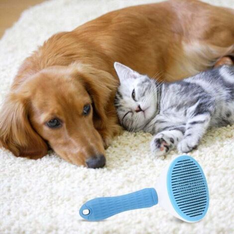 Photo inspiration: Visual Reference: Cleaning Brush And Slicker Comb Ideal For Grooming Long And
