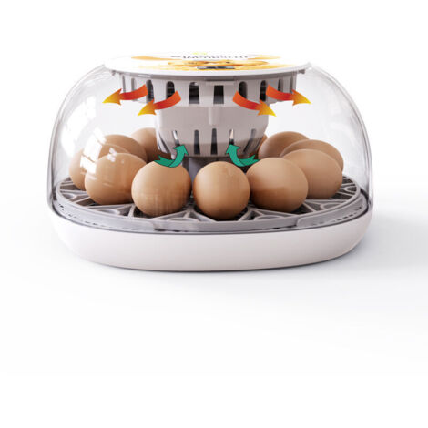 12 pièces d'équipement domestique d'incubation et d'élevage de poussins, incubateur, incubateur d'œufs, incubateur de cailles (1/4)