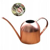 Stainless steel watering can for flowers, garden watering can, water bottle for garden plants, home, 500 ml (A)