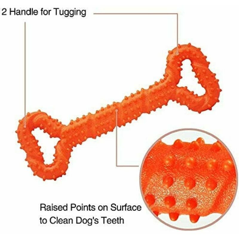 ETIAL Interaktives Hundespielzeug – Robust, Quietschend, Für Aggressive Kauer, Hält Bis 180 Kg, Mittelgroße/große Hunde