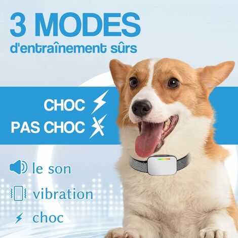 Intelligentes Anti-Bell-Hundehalsband mit Piepton-/Vibrationsmodus, 4  Empfindlichkeitsstufen, Hundetrainingshalsband, elektrisches Halsband fr  Hundehalsband von 4 bis 80 kg, IP67 wasserdicht
