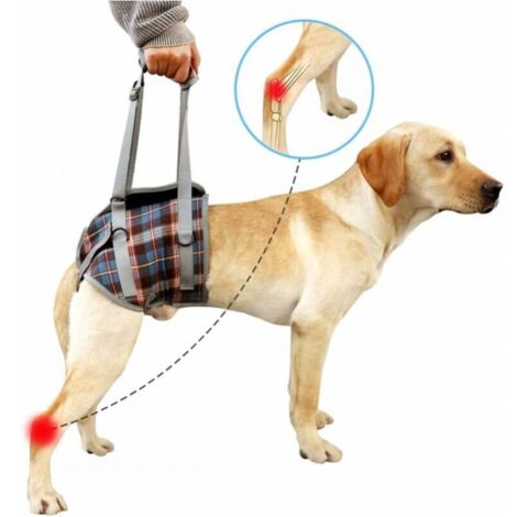 (S)Imbracatura di supporto per cani, cinghia di recupero regolabile per zampe posteriori di animali domestici, aiuto per la riabilitazione dei cani anziani per passeggiate con i cani FLITI (1/4)