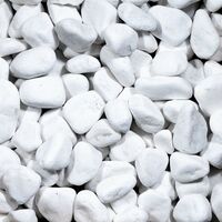 Galet décoratif blanc pur 40/60 mm – Sac 20 kg (0,2 m²) – Finition roulée pour aménagements extérieurs – Pierre naturelle esthétique