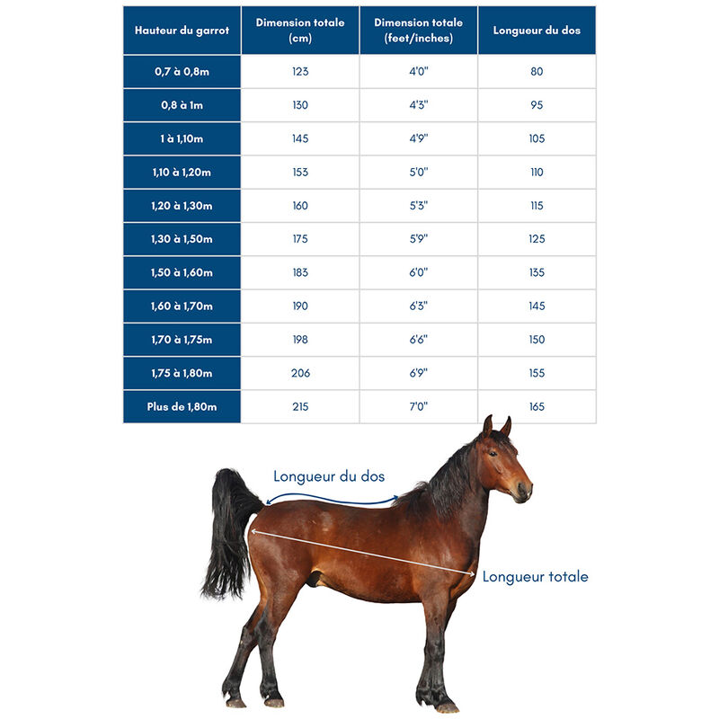 Couverture D'écurie Catago 100g - Noir/Gris - Taille 125 Cm Pour Cheval