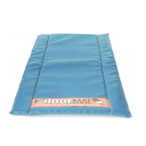 Pédiluve bleu Premium