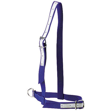Licol en nylon bleu pour vache