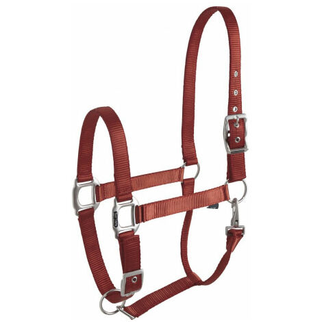 Licol 'éclat' bordeaux EQUITHÈME pour cheval (1/2)