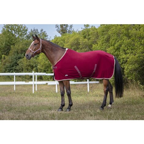 Licol polyfun bordeaux EQUITHEME pour cheval (1/2)