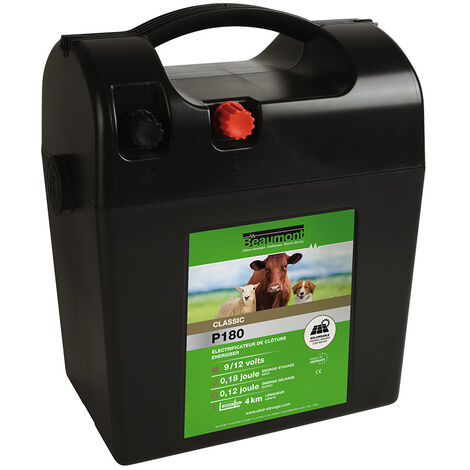 Poste pile CLASSIC P180 BEAUMONT (1/5)