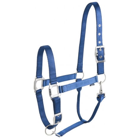 Licol 'éclat' bleu EQUITHÈME pour cheval